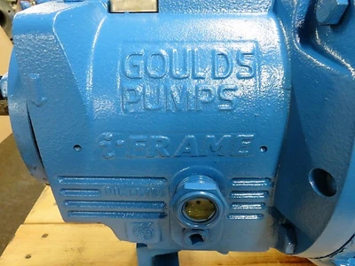 USED Goulds 3196 MTi