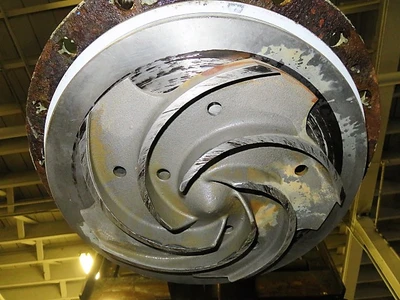 USED Goulds 3196 LTX