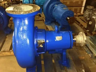 Goulds 3196 8x10x13 SS Pumps (2)