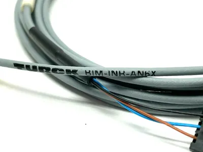 BIM-INR-AN6X | Turck  Magnetic Field Cylinder Sensor 4623800 - New Other