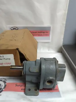 New | in-Stock BSM 713-20-2 Pumps | Surplus Asset Holdings #1206348