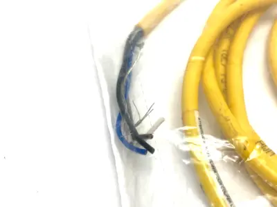 NEW ALLEN-BRADLEY SER. B STRAIGHT QD/DC MICRO CORDSET 5-PIN 2M