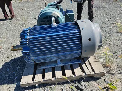 Used TECO APII25004TE5-PRCM Motors (misc) British Columbia CA | Lenmark #1744000
