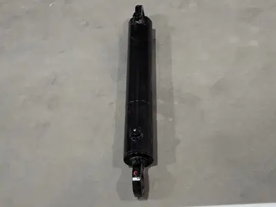 Hydraulic Cylinder 100028168