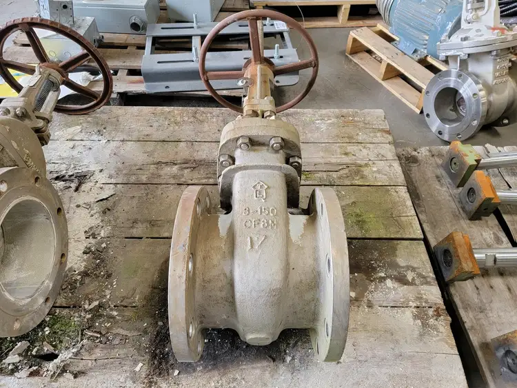 Used TLV CF8M Valves/Fittings British Columbia CA | Lenmark #258588