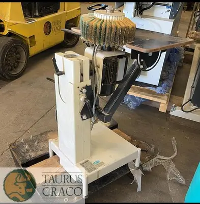 USED 2008 LOEWER (LÖWER) MINISPIN V SANDER