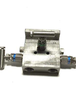 PGI Endress Hauser 71037612 Valve Manifold Assembly