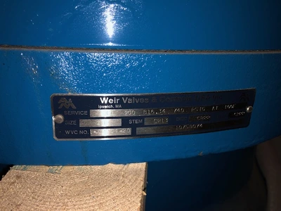 20" CL300 Weir Valves and Controls Check Valve, New Storeroom Spare