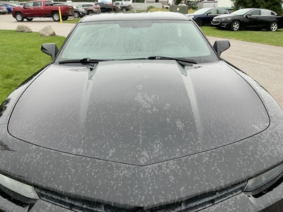 Used 2015 CHEVROLET CAMARO Cars Michigan US | Miedema Asset Management Group #1313011