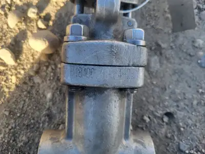 1" Class 800 Globe Valve API 602