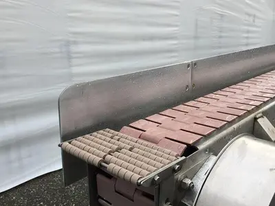 Nercon 10' Belt Conveyor