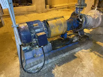 USED GOULDS 3196
