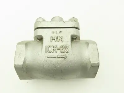 IOK HM Horizontal Gravity Lift Check Valve 2-1/2" NPT