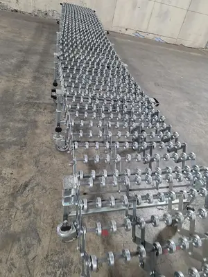 Used NESTAFLEX FLEX Conveyors Wisconsin US | Packer City Sales #1512615