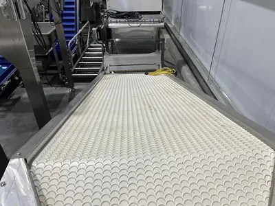 Scalloped Belt Incline Conveyor with Hopper