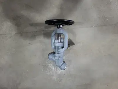 1/2" Class 1500 Globe Valve B16.34