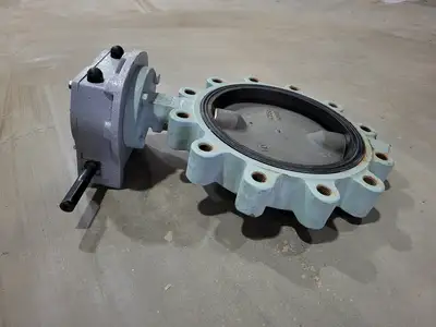 10" Class 150 Butterfly Valve B16.34