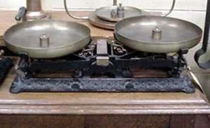 0270 Pan Type Balance Scale