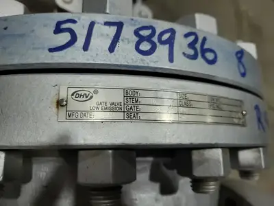 8" Class 300 Gate Valve B16.34