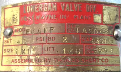 REPAIRED LONERGAN FBAFF RELIEF VALVE 45PSI 1"x1-1/4"