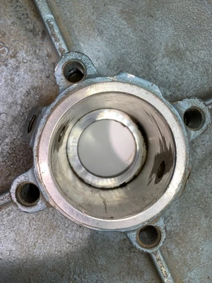Goulds 13.5" CF8M Rear Cover