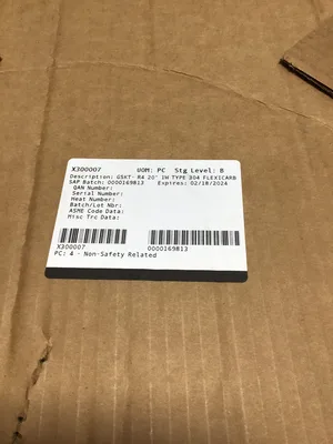 Curtiss-Wright X300007 Gasket R4 20″ ID Type 304 FlexiCarb Seal