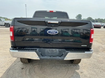 Used 2019 FORD F150 Pickup Trucks Michigan US | Miedema Asset Management Group #1316080