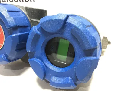 Magnetrol R95-510A-110 Guided Wave Radar Transmitter
