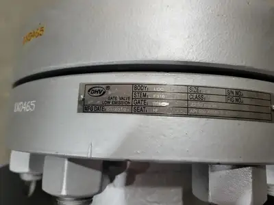 4" Class 900 Gate Valve B16.34