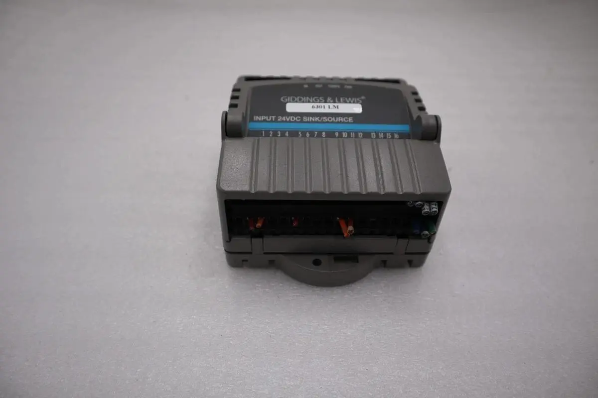 Giddings & Lewis M.1300.7372 R1 Input Module 24VDC SINK/SOURCE STOCK 5171A