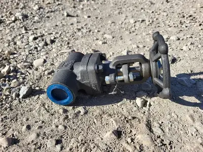 1" Class 800 Gate Valve API 602