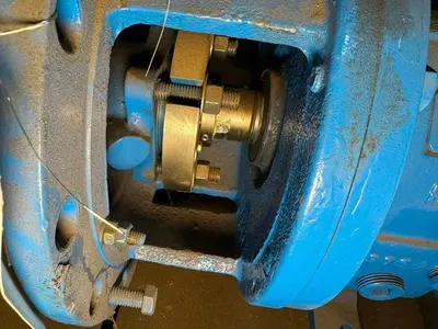 USED GOULDS 3196