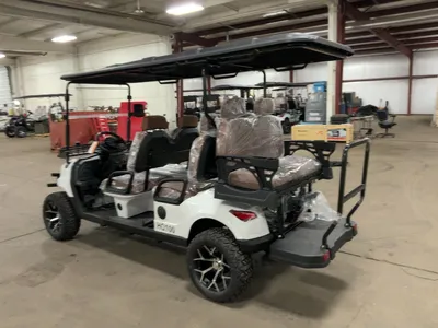 Used 2026 SDLANCH HQ100 Golf Carts Michigan US | Miedema Asset Management Group #1477060