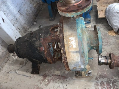 USED Goulds 3175 S