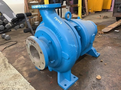 USED Goulds 3175