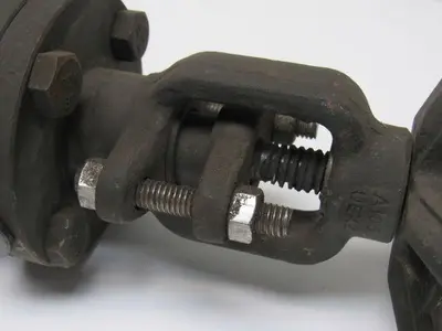 Flowserve SW12111 40405-2 R21 1" Socket Weld 800# Gate Valve