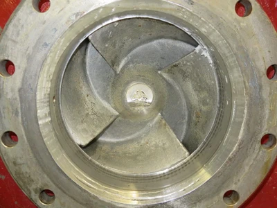 USED Goulds 3175