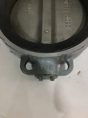 Tomoe K6129/250A/SCS13A 10″ Semi Lugged Butterfly Valve
