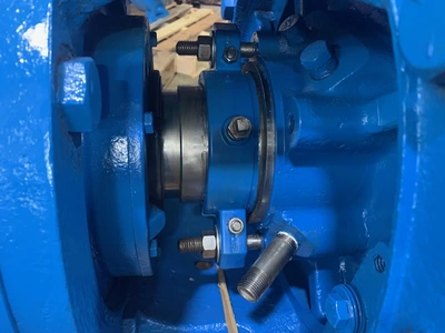 USED Goulds 3175L i-Frame