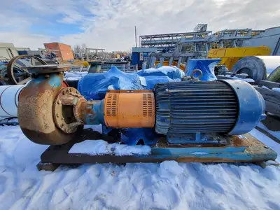 USED GOULDS 3196