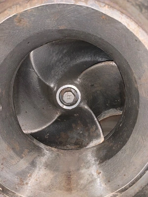 USED Goulds 3175 M