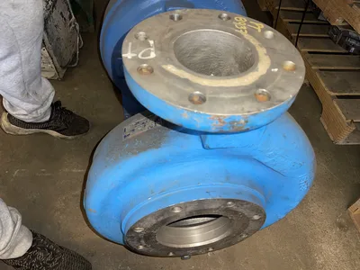 USED Goulds 3196