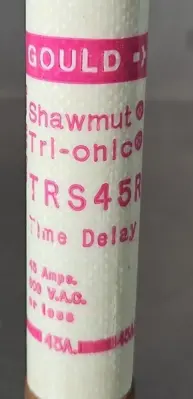 Gould shawmut TRS45R Time delay fuse Loc4C4