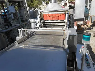 Washer, Vial, Auto, Tunnel, S/st, Linear, Mdl 100 #C742071