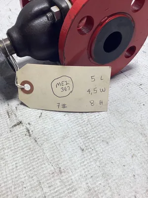 Hills McCanna 2″ Flanged Diaphragm Valve; 2509
