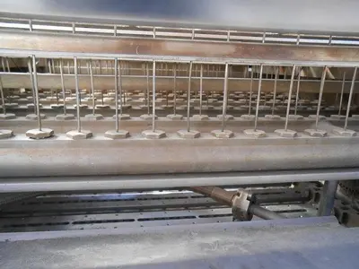 Washer, Vial, Auto, Tunnel, S/st, Linear, Mdl 100 #C742071