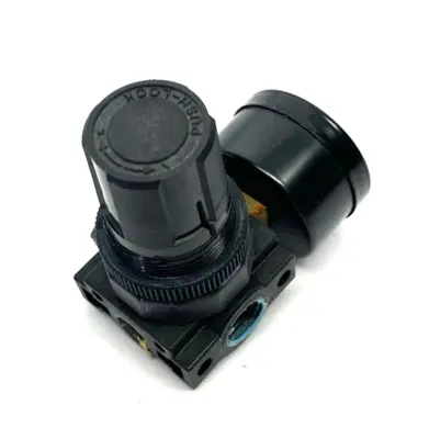 Used PARKER-WATTS MODULAR PRESSURE REGULATOR 1/4" NPT Air Pressure Regulators Michigan US | Maverick Industrial Sales #1089978