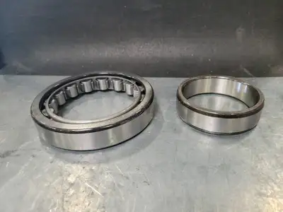 Cylindrical Roller Bearing NU219WC3