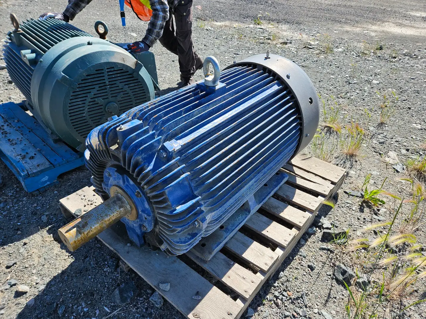 Used TECO APII25004TE5-PRCM Motors (misc) British Columbia CA | Lenmark #1744000