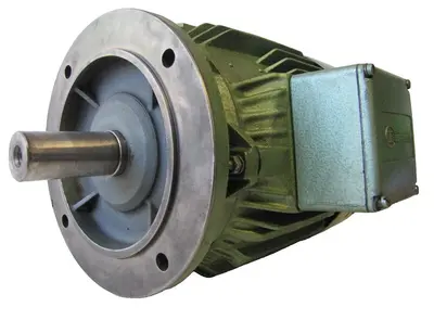 Bauknecht 6.6 kW Electric Motor 230/460V 3 Phase 1740 RPM 1-1/2" Shaft Dia.